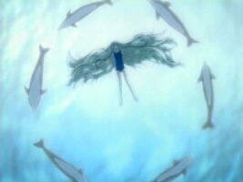 Chii unter Wasser