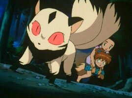 Kuroro, Koume und Shippou