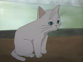 die Katze