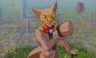 der Katzenbaron