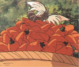 Ryo Oh Ki mit Karotten