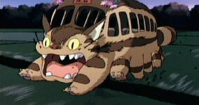 Katzenbus