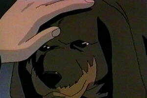 der Shinma-Hund