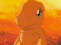JASMS Anime - Agumon