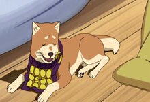 JASMS Anime - Inu-Oshou