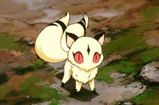 JASMS Anime - Kirara