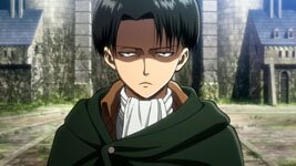 Levi