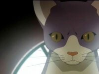 JASMS Anime - Neko-sensei