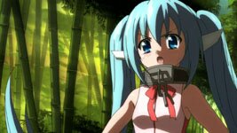 Nymph