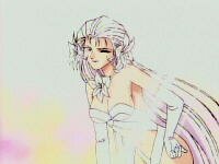 JASMS Anime - Orchidee