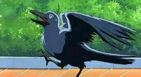 JASMS Anime - Sora