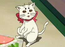 JASMS Anime - Tama