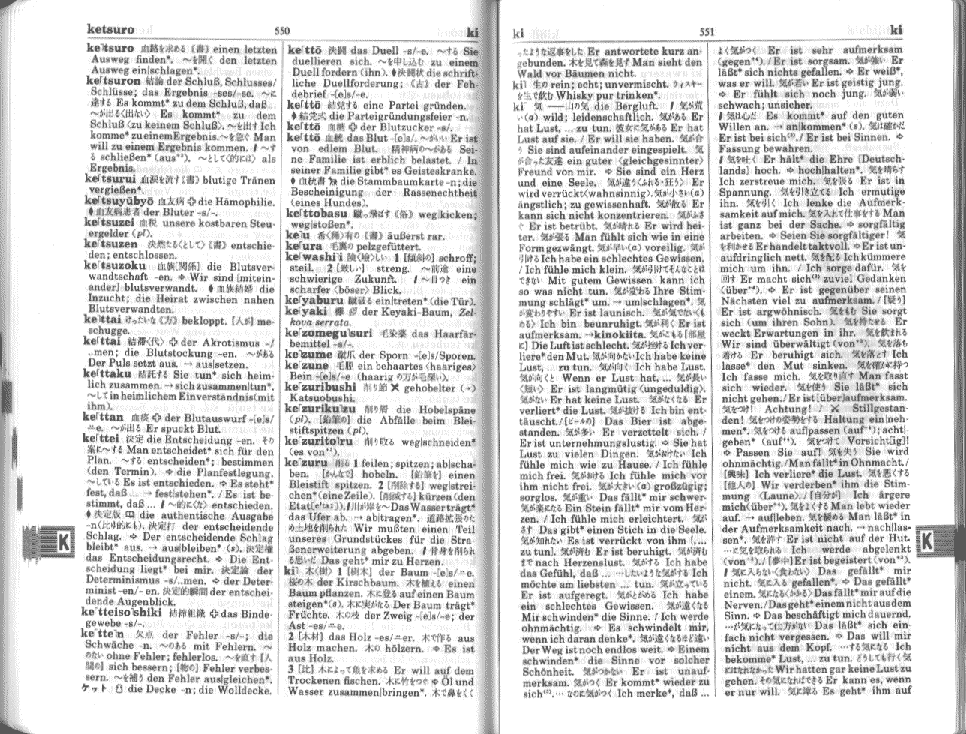 Dt. jap. Wörterbuch